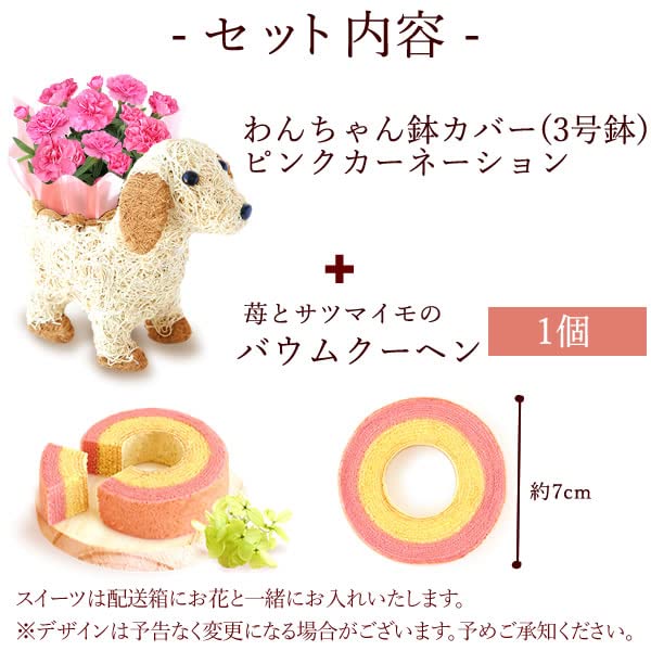 母の日にカーネーションお茶碗と犬のボウルセット 楽天市場】食器セット ギフトボックス 茶碗セット 鯉柄 花柄 中華風 2